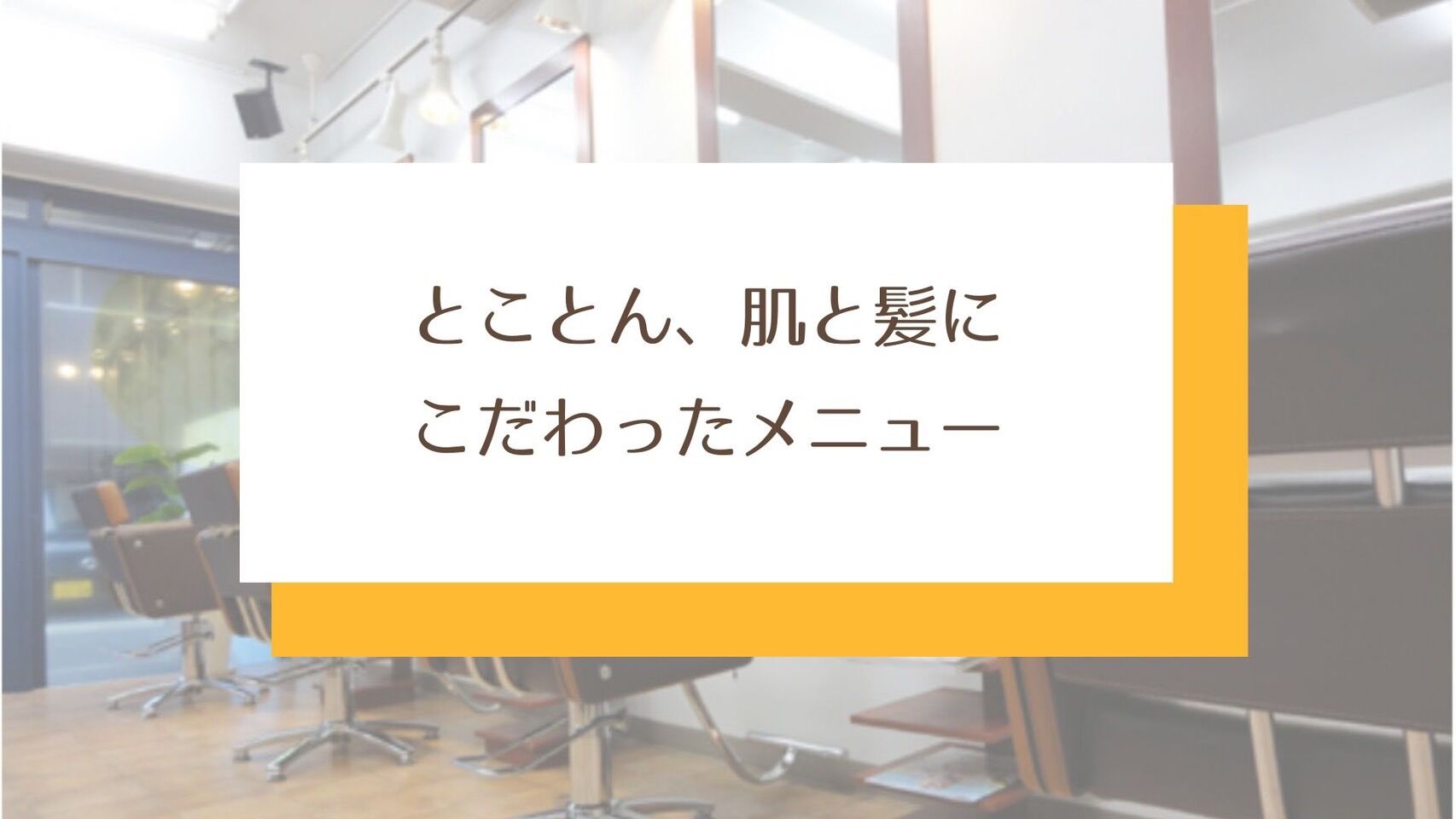 S__40288265